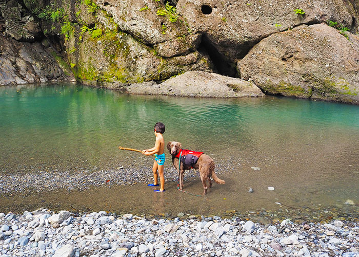 犬と一緒にキャンプ 埼玉県奥秩父 将門の滝オートキャンプ場